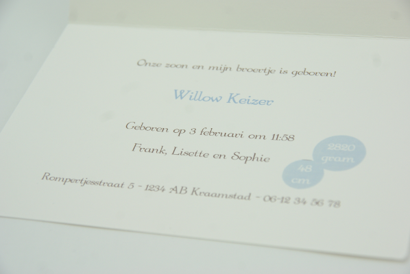 geboortekaartje willow lichtblauw